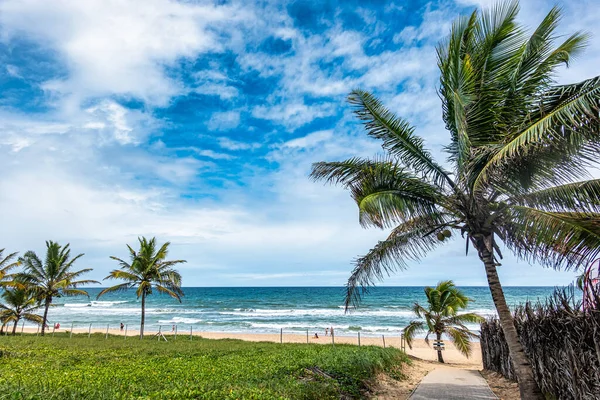 stock image View of Imbassai beach, Bahia, Brazil. Beautiful beach in the northeast with a river and palm trees.