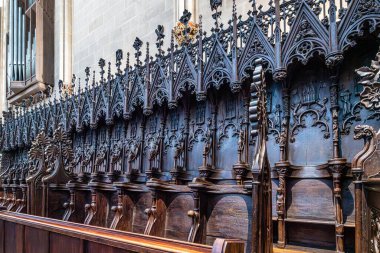 Erfurt Katedrali ve St. Mary Kolej Kilisesi, Erfurt, Almanya. Martin Luther 1507 'de katedralde papaz oldu.