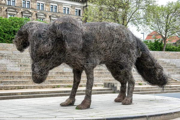 Vulpes Estatuas Artísticas Frente Palacio Corte Suprema Tierras Dresde Orilla — Foto de Stock