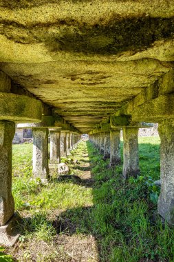 İspanya, Galiçya 'daki Carnota' daki uzun ve dar tahıl deposu. Bu özel horreonun bölgenin en büyük eksiksiz ve orijinal örneği olduğu ve yaklaşık 35 metre uzunluğunda olduğu iddia ediliyor..