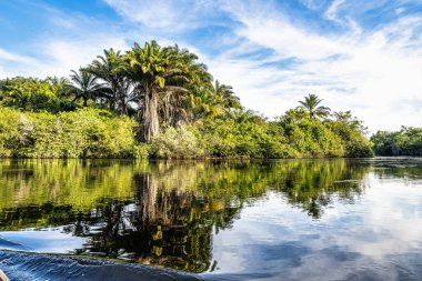 Canoe tour on the Pantanal Marimbus, waters of many rivers and abundant vegetation, in Andarai, Bahia, Brazil in the Chapada Diamantina