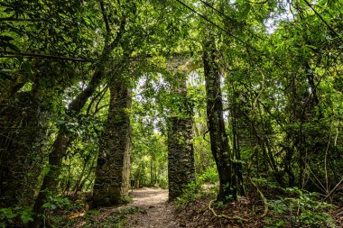 Ilha Grande 'deki eski Lazaretto su kemerinin kalıntıları, Angra dos Reis, Rio de Janeiro' nun güneyindeki Green Coast, Brezilya
