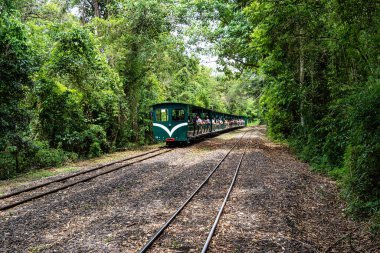 Rainforest Ecological Train at Iguazu Falls National Park in Argentina. Train between stations inside the Puerto Iguazu national park. Tourists cross a forest on a train that leads to the falls clipart