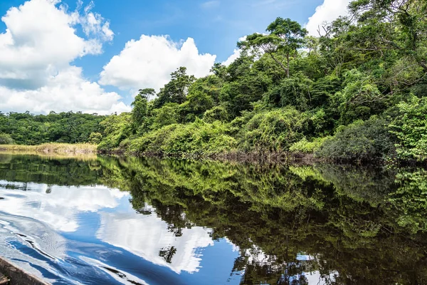 Paseo Canoa Por Pantanal Marimbus Aguas Muchos Ríos Abundante Vegetación — Foto de Stock
