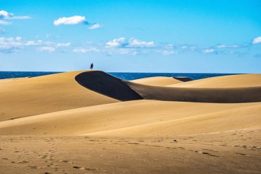 Gran Canaria, İspanya - 15 Şubat 2023: Maspalomas Kum Tepeleri, Kanarya Adaları 'nın güney kıyısındaki Dunas de Maspalomas