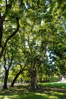 Plaza Mitre Parkı, Mitre Meydanı Buenos Aires, Arjantin