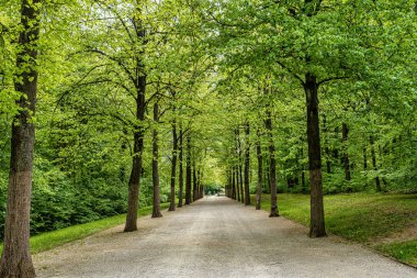 Bayreuth, Bavyera 'daki güzel tarihi keşiş parkı, Yukarı Franconia, Almanya