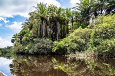 Canoe tour on the Pantanal Marimbus, waters of many rivers and abundant vegetation, in Andarai, Bahia, Brazil in the Chapada Diamantina