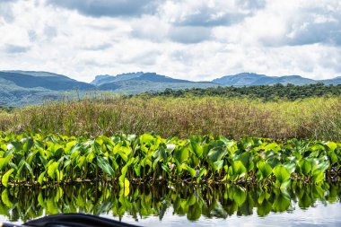 Pantanal Marimbus 'ta kano turu, birçok nehrin suları ve bol bitki örtüsü, Andarai, Bahia, Brezilya' da Chapada Diamantina 'da