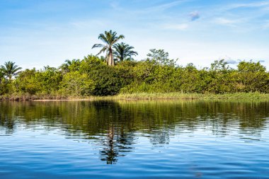 Pantanal Marimbus 'ta kano turu, birçok nehrin suları ve bol bitki örtüsü, Andarai, Bahia, Brezilya' da Chapada Diamantina 'da