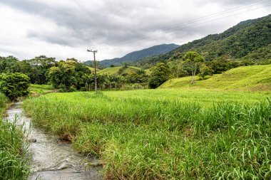 Pomerode, Santa Catarina, Brezilya 'daki Alman göçmenlerin kırsal kesimlerinde yeşil tarlalar ve çayırlar
