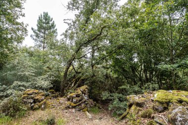 Galiçya, İspanya ve Avrupa 'daki Parada de Sil Kanyonu' nda güzel bir yürüyüş.