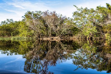 Canoe tour on the Pantanal Marimbus, waters of many rivers and abundant vegetation, in Andarai, Bahia, Brazil in the Chapada Diamantina