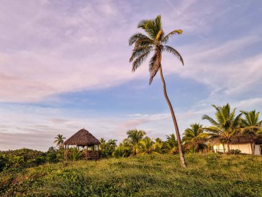 View of Imbassai beach, Bahia, Brazil. Beautiful beach in the northeast with a river and palm trees.