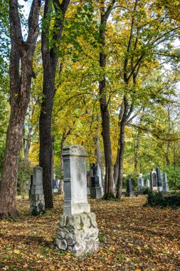 Almanya 'nın Münih kentindeki ünlü Kuzey Mezarlığı' nın sonbahar manzarası. Tarihi mezar taşları var. Cenazeler 1944 'ten beri burada yapılmadı. Bunun yerine mezarlık bir park olarak kullanılıyor..