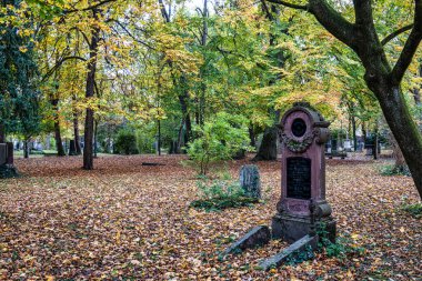 Almanya 'nın Münih kentindeki ünlü Kuzey Mezarlığı' nın sonbahar manzarası. Tarihi mezar taşları var. Cenazeler 1944 'ten beri burada yapılmadı. Bunun yerine mezarlık bir park olarak kullanılıyor..