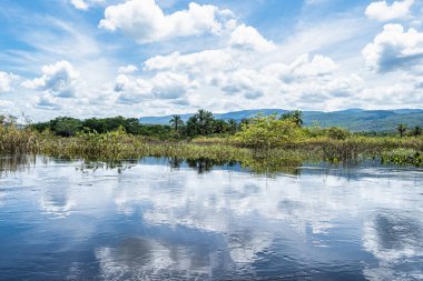 Canoe tour on the Pantanal Marimbus, waters of many rivers and abundant vegetation, in Andarai, Bahia, Brazil in the Chapada Diamantina