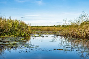 Canoe tour on the Pantanal Marimbus, waters of many rivers and abundant vegetation, in Andarai, Bahia, Brazil in the Chapada Diamantina