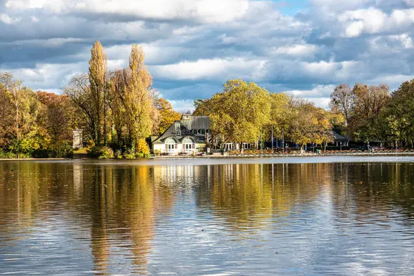 Münih 'in ünlü dinlenme yeri Englischer Garten' da altın sonbahar manzarası. Düşmüş yaprakları ve altın güneş ışığı olan İngiliz bahçesi. Munchen, Bavyera, Almanya