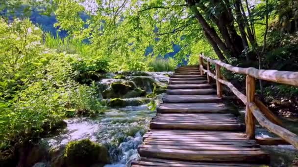 Caminho Madeira Plitvice National Park Croácia Dos Parques Nacionais Mais — Vídeo de Stock