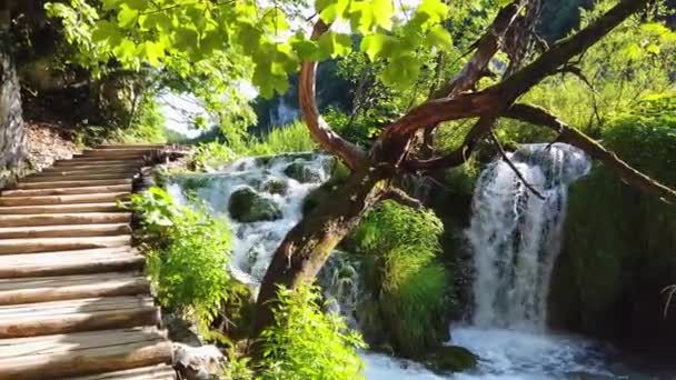 Holzpfad Plitvicer Nationalpark Kroatien Einer Der Ältesten Und Größten Nationalparks — Stockvideo