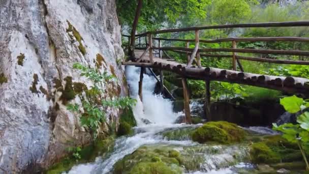 Caminho Madeira Plitvice National Park Croácia Dos Parques Nacionais Mais — Vídeo de Stock