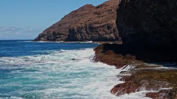 グラン カナリア 北海岸 プンタ サルディナ岬周辺の地域 海岸に沿って破壊された強力な泡立つ海の波 スペインのカナリア諸島 カナリア島 — ストック動画