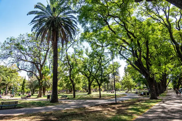 Buenos Aires, Arjantin - 16 Aralık 2023: Parque Lezama, Lezama Parkı, San Telmo Mahallesi, Buenos Aires, Arjantin. Buenos Aires 'in en önemli parklarından biri.