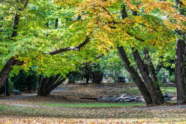 Münih, Almanya 'daki Karl-Amadeus-Hartmann Çeşmesi. Almanya 'nın Bavyera eyaletinin Münih ilçesine bağlı Maximiliansplatz' da yer almaktadır..
