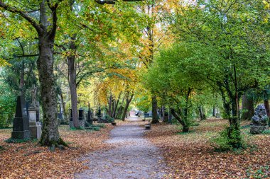 Almanya 'nın Münih kentindeki ünlü Kuzey Mezarlığı' nın sonbahar manzarası. Tarihi mezar taşları var. Cenazeler 1944 'ten beri burada yapılmadı. Bunun yerine mezarlık bir park olarak kullanılıyor..