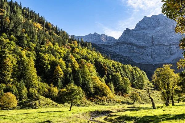 Ahornboden 'daki akçaağaç ağaçlarının sonbahar manzarası, Karwendel dağları, Tyrol, Avusturya