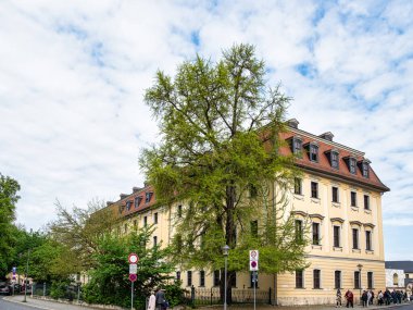 Weimar, Almanya - 12 Mayıs 2023: Goethe ve Schiller Arşivi ve Ginkgo ağacı Almanya 'nın Weimar kentinde Goethe tarafından dikildi