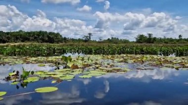 Canoe tour on the Pantanal Marimbus, waters of many rivers and abundant vegetation, in Andarai, Bahia, Brazil in the Chapada Diamantina