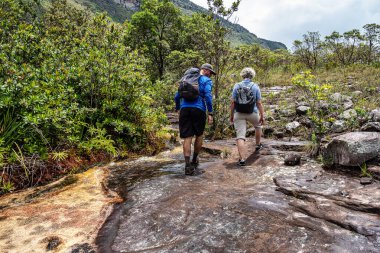 Capao, Brezilya - Ocak 05, 2024: Vale do Capao, Chapada Diamantina, Palmeiras, Bahia, Brezilya 'daki Aguas Claras şelalesine güzel yürüyüş yolu