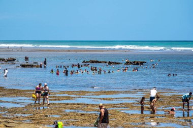 Praia do Forte, Brezilya - 10 Ocak 2024: Brezilya 'nın Salvador kentinden 100 km uzaklıktaki Praia do Forte' de güzel bir kumsal, temiz su ve palmiye ağaçları manzarası.