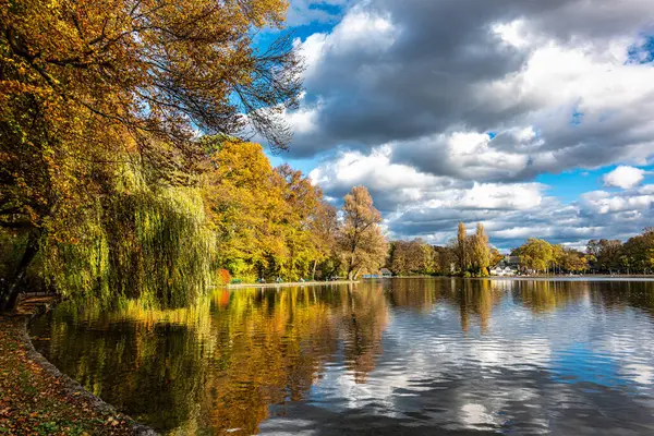 Münih 'in ünlü dinlenme yeri Englischer Garten' da altın sonbahar manzarası. Düşmüş yaprakları ve altın güneş ışığı olan İngiliz bahçesi. Munchen, Bavyera, Almanya