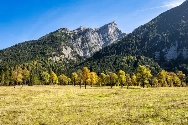 Pemandangan Musim Gugur Pohon Maple Ahornboden Pegunungan Karwendel Tyrol Austria Stok Foto Bebas Royalti