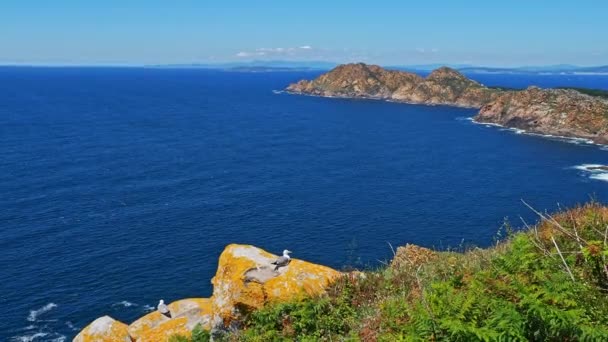 San Martino Island Islas Cies Atlantic Islands Galicia National Park — ストック動画