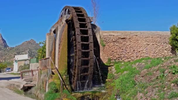Alte Arabische Mühle Wasser Noria Abaran Dorf Murcia Region Spanien — Stockvideo