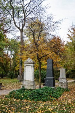 Almanya 'nın Münih kentindeki ünlü Kuzey Mezarlığı' nın sonbahar manzarası. Tarihi mezar taşları var. Cenazeler 1944 'ten beri burada yapılmadı. Bunun yerine mezarlık bir park olarak kullanılıyor..