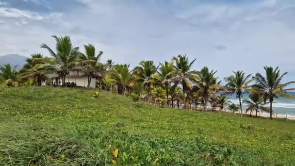 Blick Auf Den Strand Von Imbassai Bahia Brasilien Schöner Strand — Stockvideo