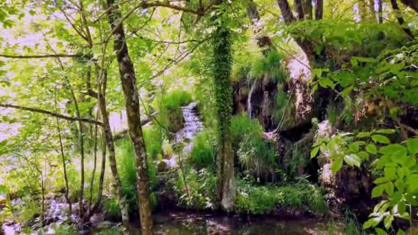 Piękny Krajobraz Parku Narodowego Jeziora Plitwickie Chorwacji Jeden Najstarszych Największych — Wideo stockowe