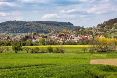 Franconian İsviçre 'de Pretzfeld, Almanya' da tepelerde kiraz çiçeği. Meyve konyağı ve meyve suyu için ünlü bir bölge. Batı Avrupa 'nın kiraz ağaçları için en büyük tarım alanlarından biri..
