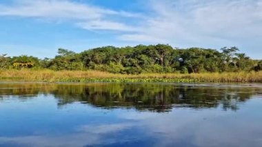 Canoe tour on the Pantanal Marimbus, waters of many rivers and abundant vegetation, in Andarai, Bahia, Brazil in the Chapada Diamantina