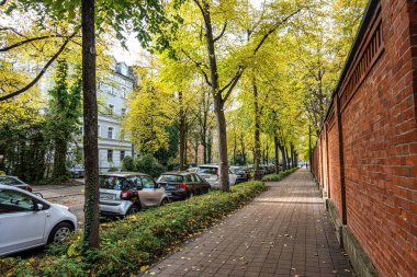 Münih, Almanya - 09 Kasım 2023: Ziebland Caddesi sonbaharda ağaçlar, renkli yapraklar, park etmiş arabalar ve bisikletçilerle birlikte Münih 'te. Münih, Almanya
