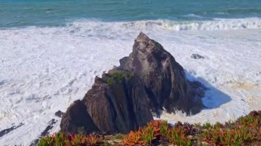 Yuvalarındaki beyaz leylekler, Portekiz 'in Algarve eyaletinin Ohexe sahilindeki bir uçurumda..