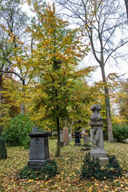 Almanya 'nın Münih kentindeki ünlü Kuzey Mezarlığı' nın sonbahar manzarası. Tarihi mezar taşları var. Cenazeler 1944 'ten beri burada yapılmadı. Bunun yerine mezarlık bir park olarak kullanılıyor..