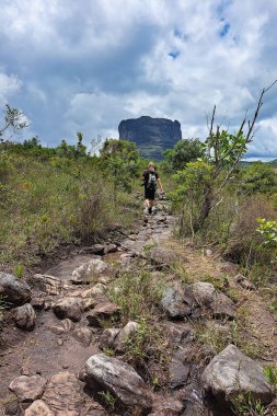 Capao, Brazil - Jan 05, 2024: Beautiful hiking trail to Aguas Claras waterfall in Vale do Capao, Chapada Diamantina, Palmeiras, Bahia, Brazil clipart