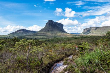 Capao, Brezilya - Ocak 05, 2024: Vale do Capao, Chapada Diamantina, Palmeiras, Bahia, Brezilya 'daki Aguas Claras şelalesine güzel yürüyüş yolu