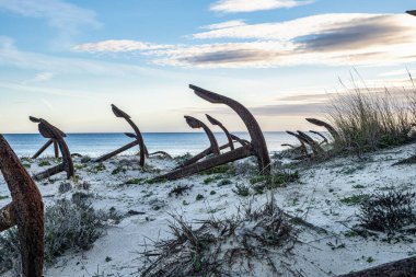 Portekiz, Algarve, Tavira 'daki Praia do Barril plajındaki Anchor Mezarlığı' nın sahilindeki paslı eski çapalar.